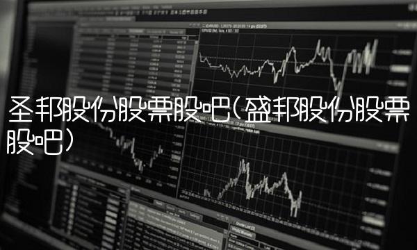 圣邦股份股票股吧(盛邦股份股票股吧)