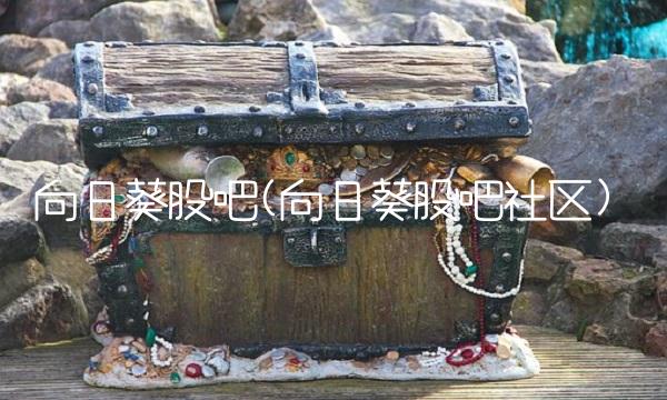 向日葵股吧(向日葵股吧社区)