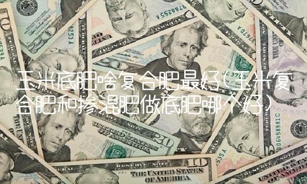 玉米底肥啥复合肥最好(玉米复合肥和掺混肥做底肥哪个好)