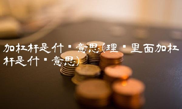 加杠杆是什么意思(理财里面加杠杆是什么意思)