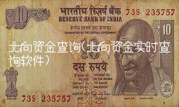 北向资金查询(北向资金实时查询软件)