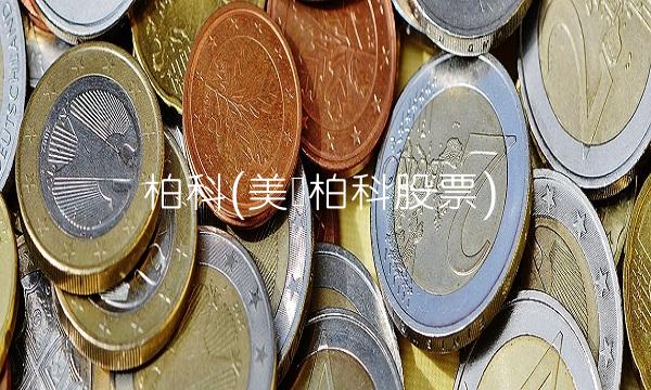 柏科(美亚柏科股票)