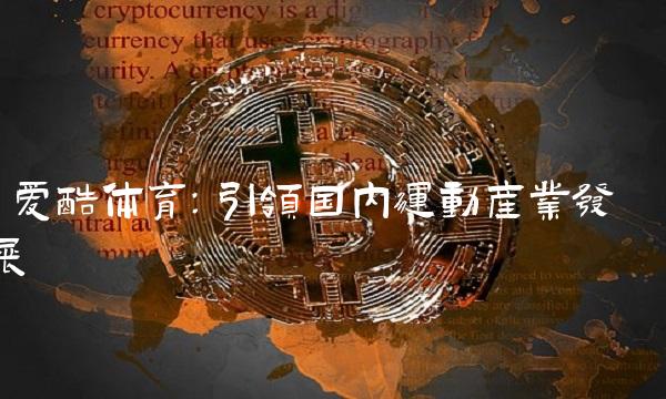  爱酷体育：引领国内运动产业发展