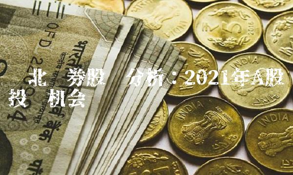 东北证券股吧分析：2021年A股投资机会
