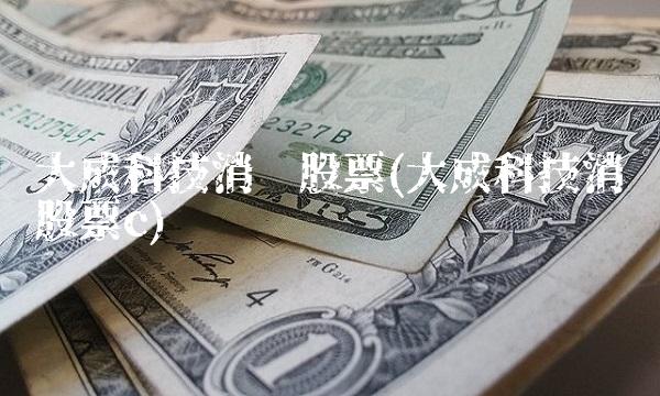 大成科技消费股票(大成科技消费股票c)(1)