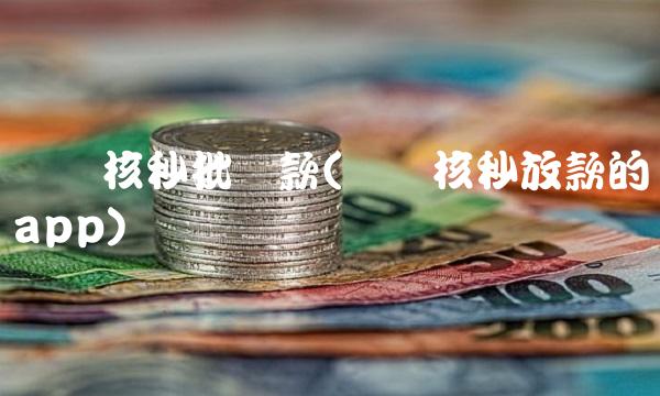 无审核秒批贷款(无审核秒放款的app)