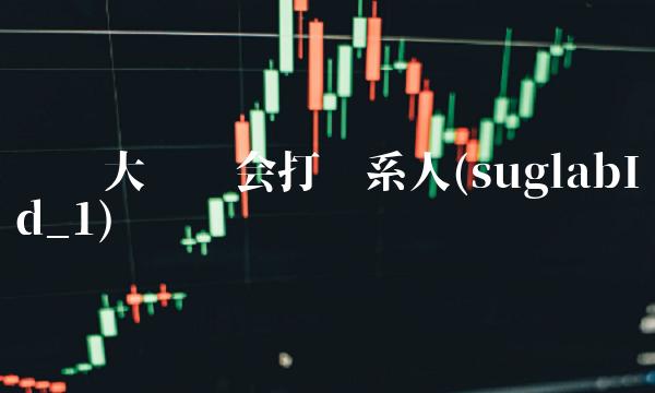 闪银大额贷会打联系人(suglabId_1)