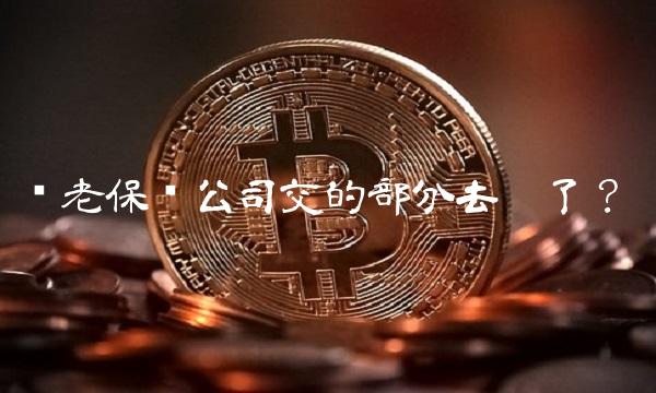 养老保险公司交的部分去哪了？