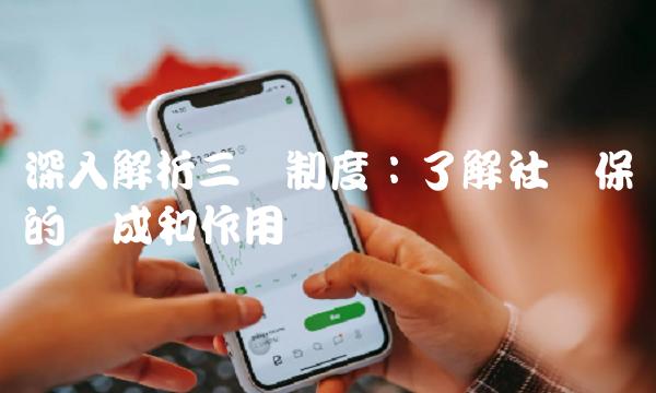 深入解析三险制度：了解社会保险的组成和作用