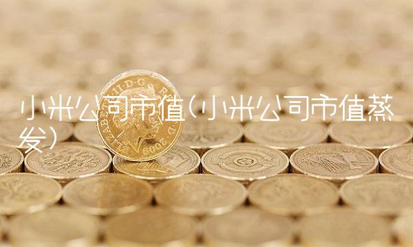 小米公司市值(小米公司市值蒸发)