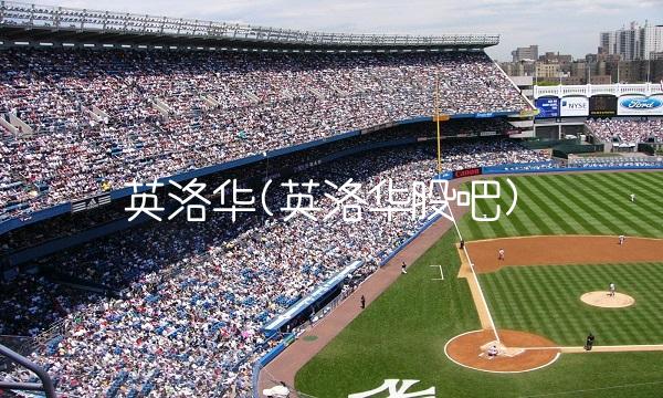 英洛华(英洛华股吧)(2)