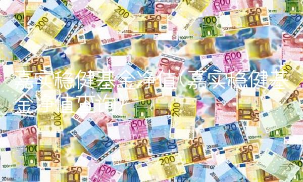 嘉实稳健基金净值(嘉实稳健基金净值查询)(1)