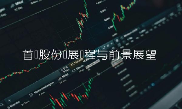 首创股份发展历程与前景展望