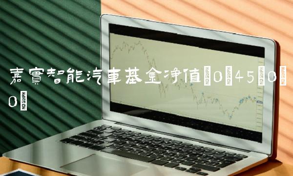 嘉实智能汽车基金净值(0;45;0;0)
