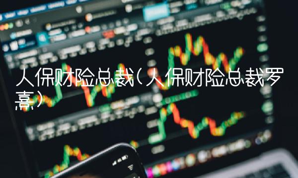 人保财险总裁(人保财险总裁罗熹)