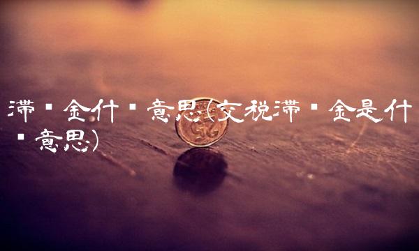 滞纳金什么意思(交税滞纳金是什么意思)