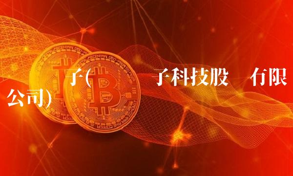 联创电子(联创电子科技股份有限公司)(1)