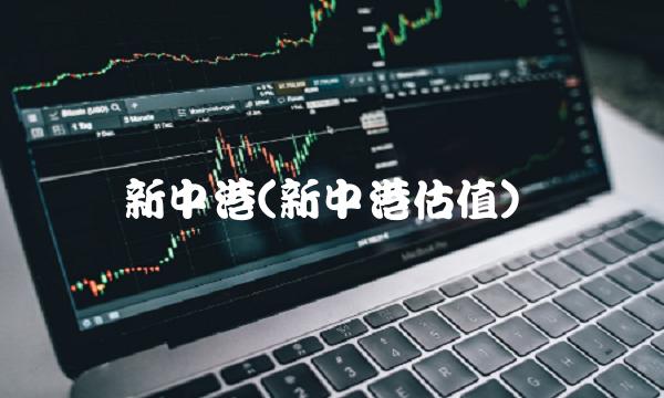 新中港(新中港估值)