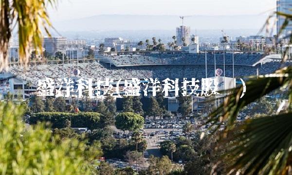 盛洋科技(盛洋科技股吧)