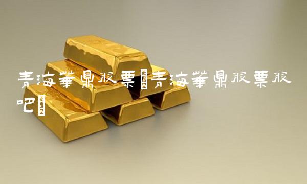 青海华鼎股票(青海华鼎股票股吧)