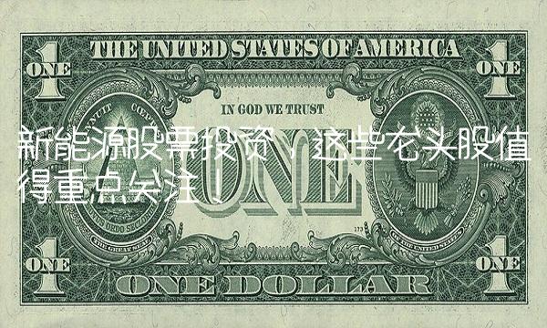 新能源股票投资，这些龙头股值得重点关注！