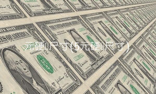 元硬币尺寸(5元硬币尺寸)