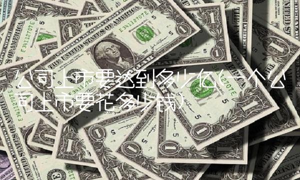 公司上市要达到多少亿(一个公司上市要花多少钱)