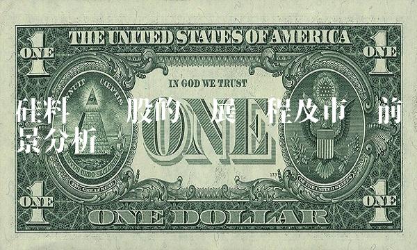 硅料龙头股的发展历程及市场前景分析