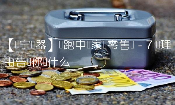 【苏宁电器】领跑中国家电零售业 - 7 个理由告诉你为什么