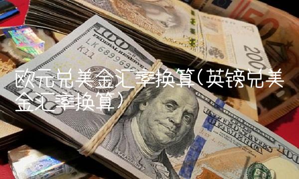 欧元兑美金汇率换算(英镑兑美金汇率换算)