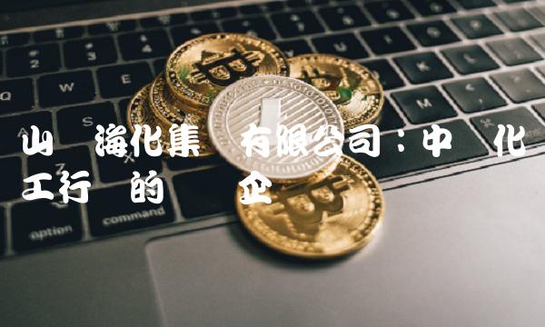 山东海化集团有限公司：中国化工行业的龙头企业