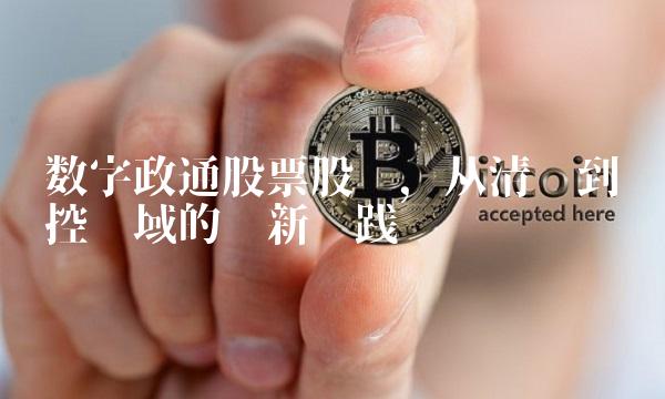 数字政通股票股吧，从清单到风控领域的创新实践