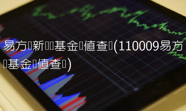易方达新经济基金净值查询(110009易方达基金净值查询)