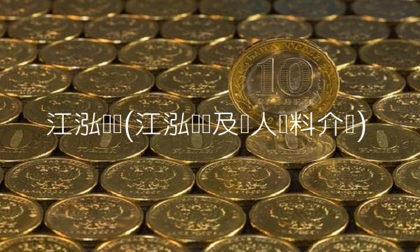 江泓简历(江泓简历及个人资料介绍)