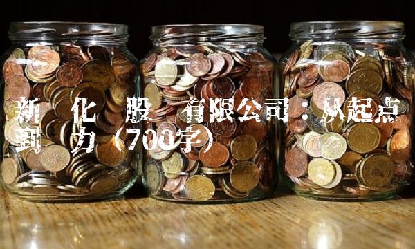 新乡化纤股份有限公司：从起点到发力（700字）