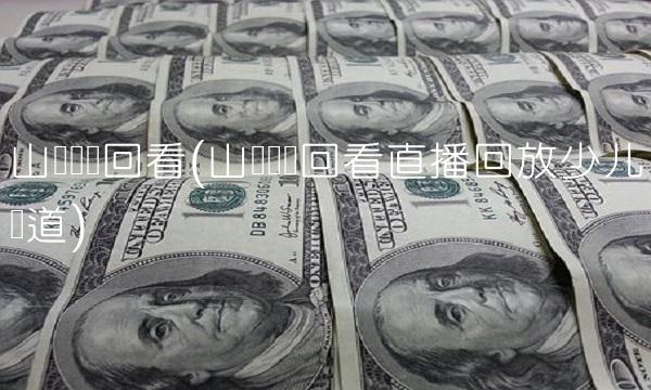 山东卫视回看(山东卫视回看直播回放少儿频道)