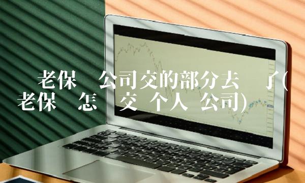 养老保险公司交的部分去哪了(养老保险怎么交 个人 公司)