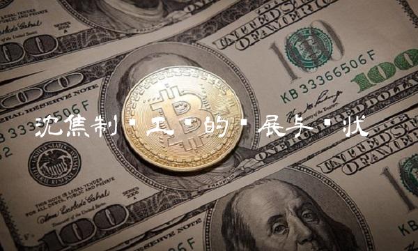 沈焦制备工艺的发展与现状