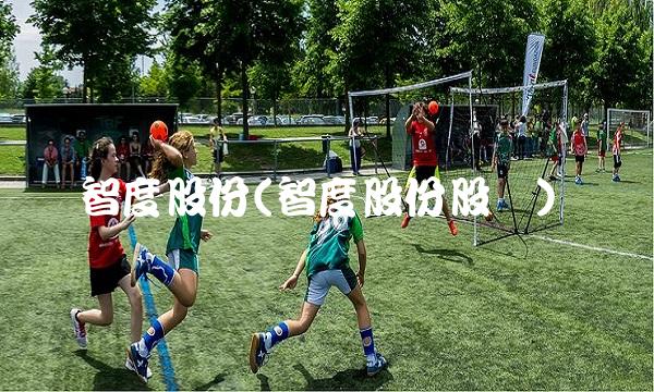 智度股份(智度股份股价)