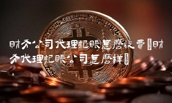 财务公司代理记账怎么收费(财务代理记账公司怎么样)