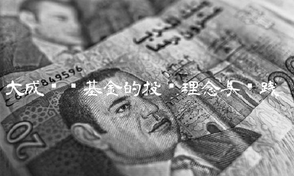 大成蓝筹基金的投资理念与实践