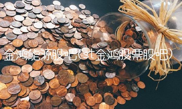 金鸿能源股吧(st金鸿股票股吧)