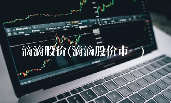 滴滴股价(滴滴股价市值)(3)