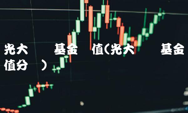 光大优势基金净值(光大优势基金净值分红)