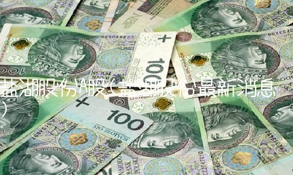 盐湖股份A股(盐湖股份最新消息)