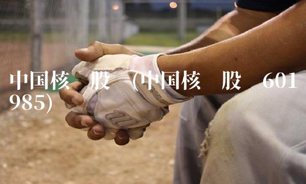 中国核电股吧(中国核电股吧601985)
