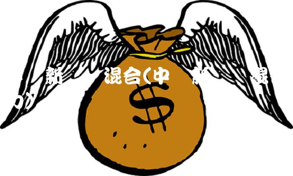 中欧新蓝筹混合(中欧新蓝筹混合动力)