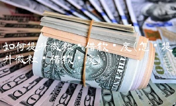 如何提升微粒贷借款额度(怎样提升微粒贷借款额度)
