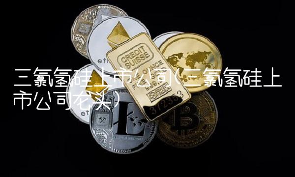 三氯氢硅上市公司(三氯氢硅上市公司龙头)