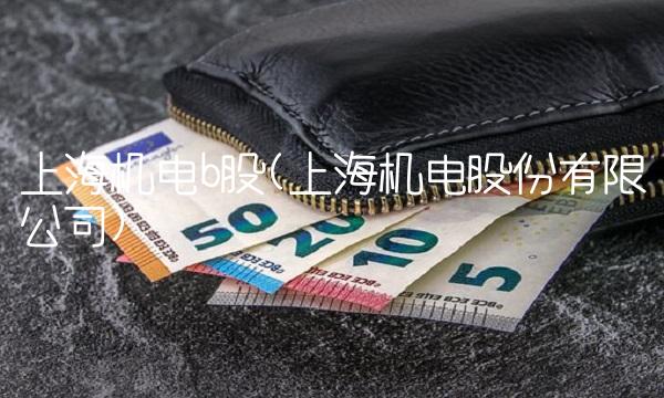 上海机电b股(上海机电股份有限公司)